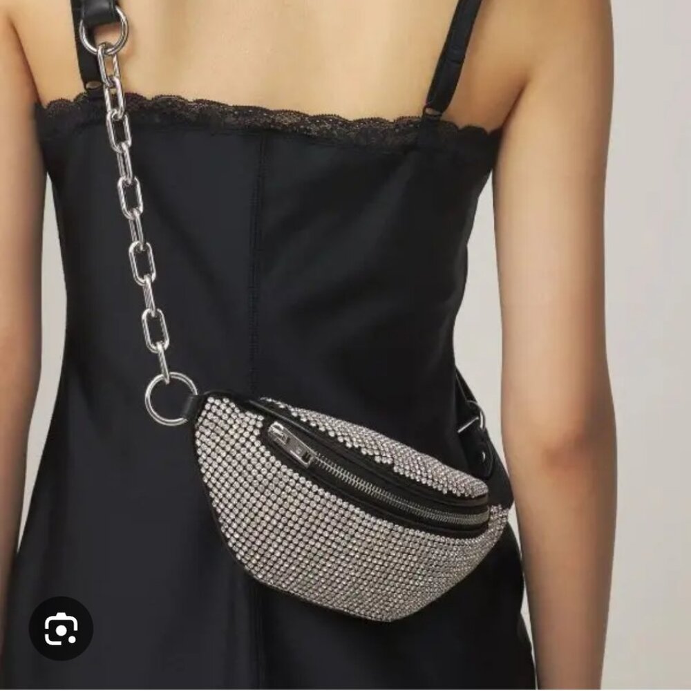 Alexander Wang Rhinestone Pouch/Sling Bag "EUC" - Picture 15 of 16